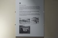 
DSC00242